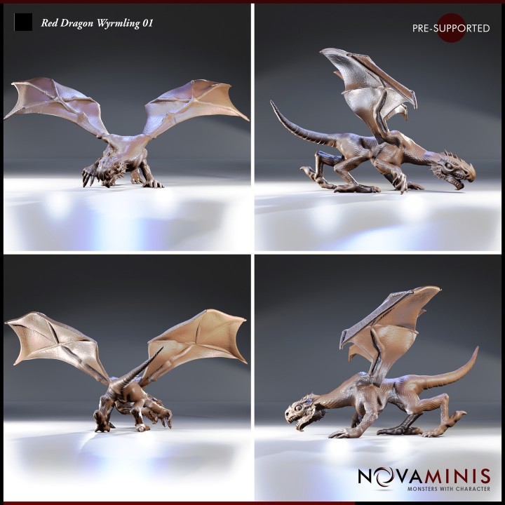 Red Dragon Wyrmling 01