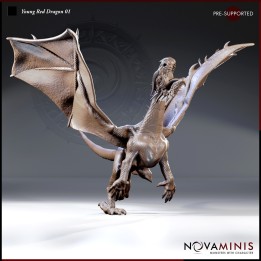 Young Red Dragon 01