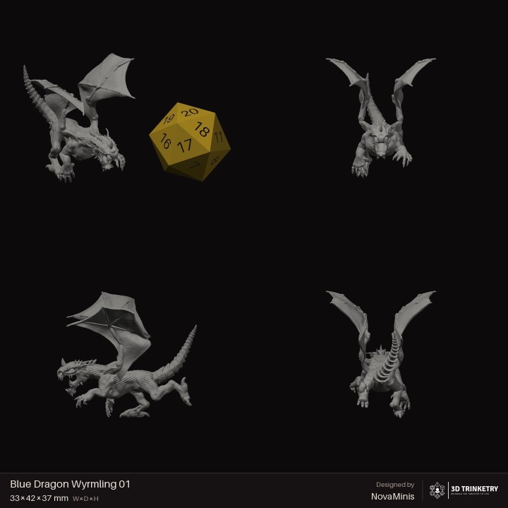 Blue Dragon Wyrmling 01