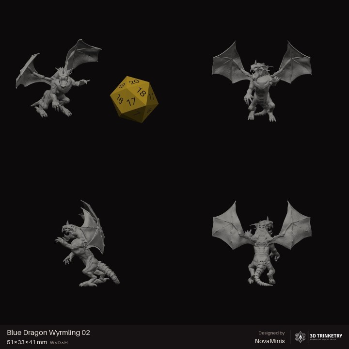 Blue Dragon Wyrmling 02