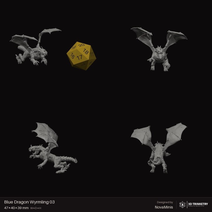 Blue Dragon Wyrmling 03