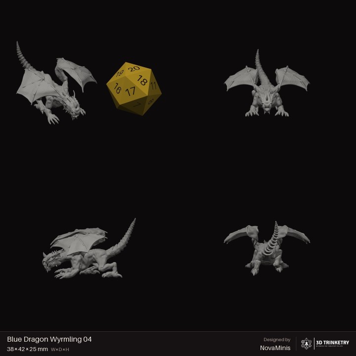 Blue Dragon Wyrmling 04