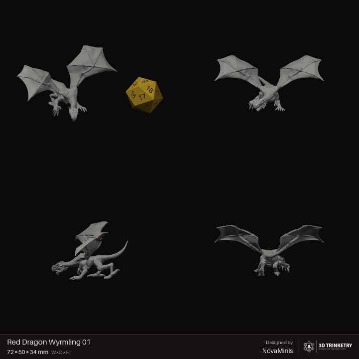 Red Dragon Wyrmling 01