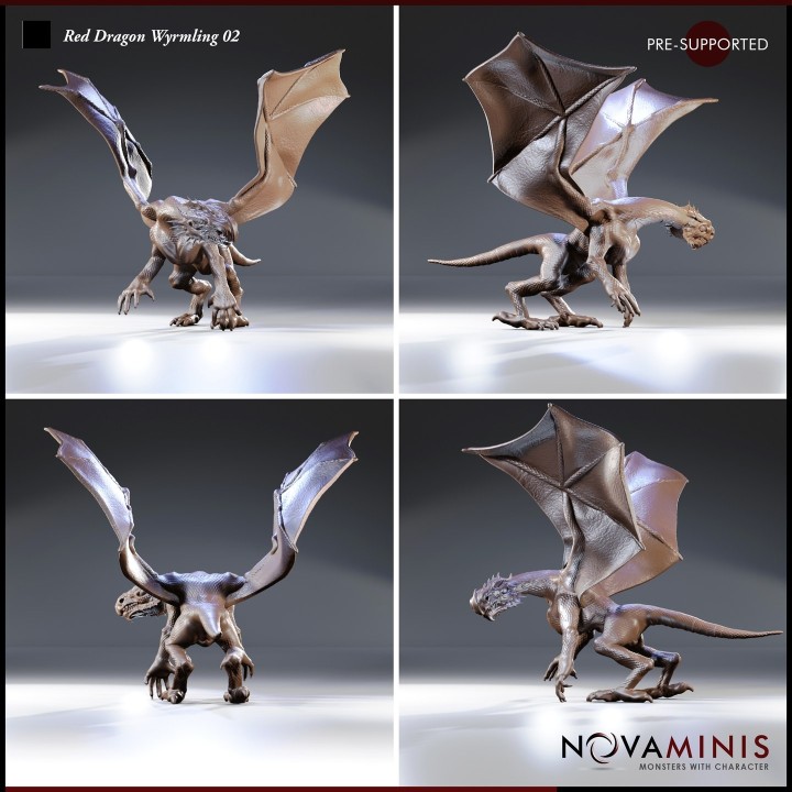 Red Dragon Wyrmling 02