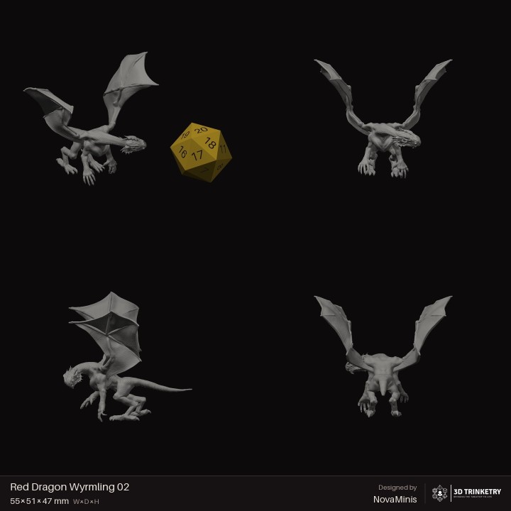 Red Dragon Wyrmling 02