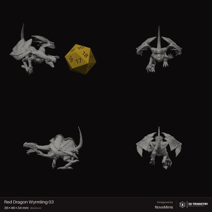 Red Dragon Wyrmling 03