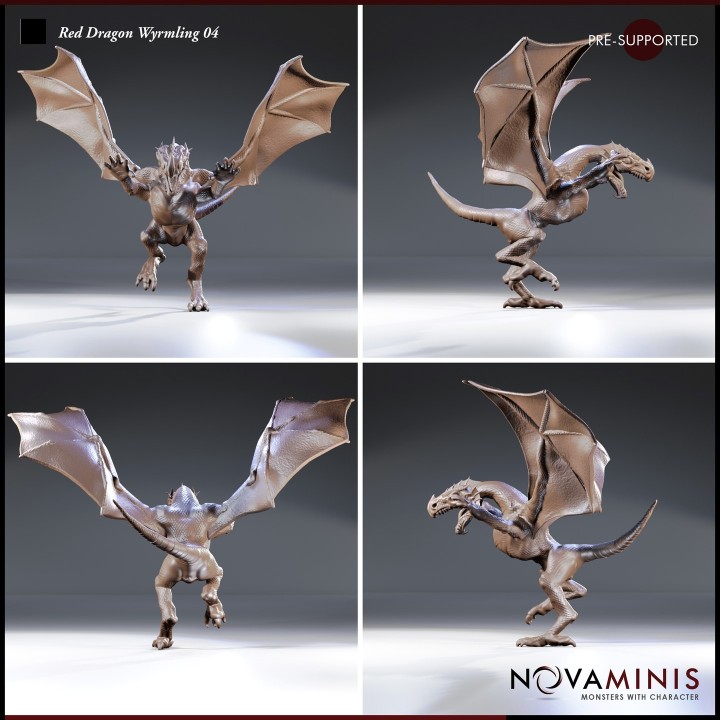 Red Dragon Wyrmling 04