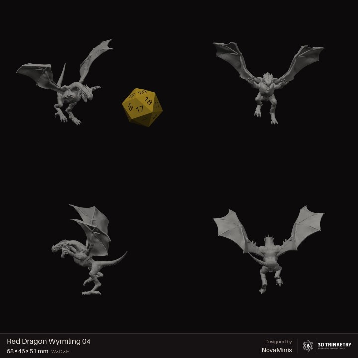 Red Dragon Wyrmling 04