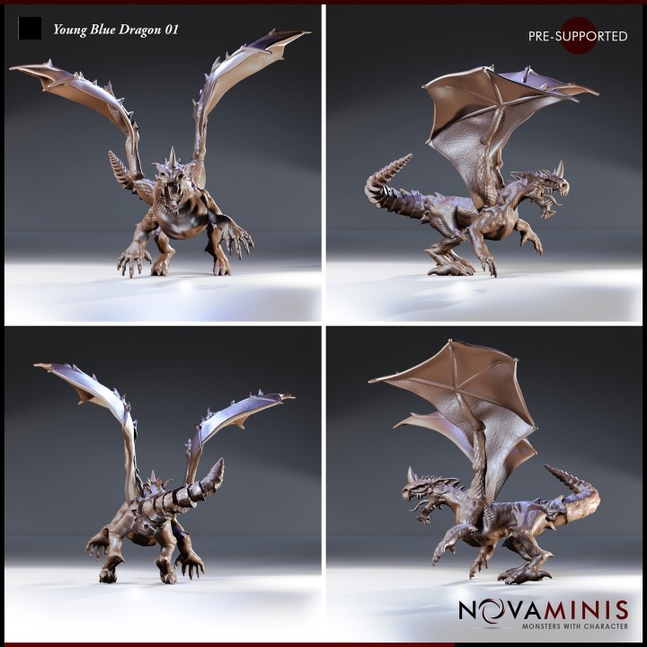 Young Blue Dragon 01