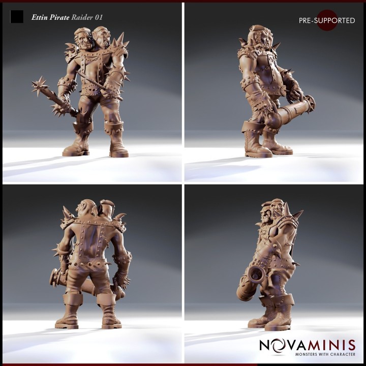 Ettin Pirate Raider 01