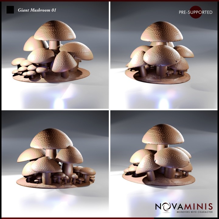 Giant Mushroom 01