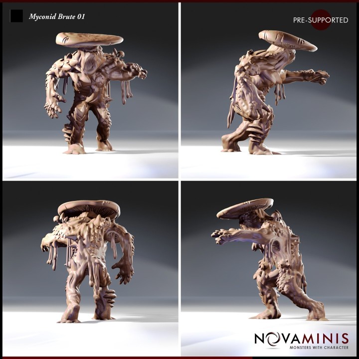Myconid Brute 01