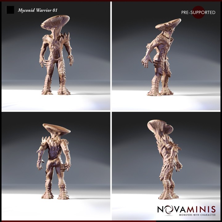 Myconid Warrior 01