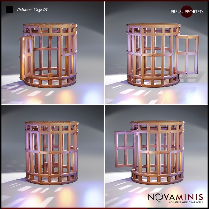 Prisoner Cage 01