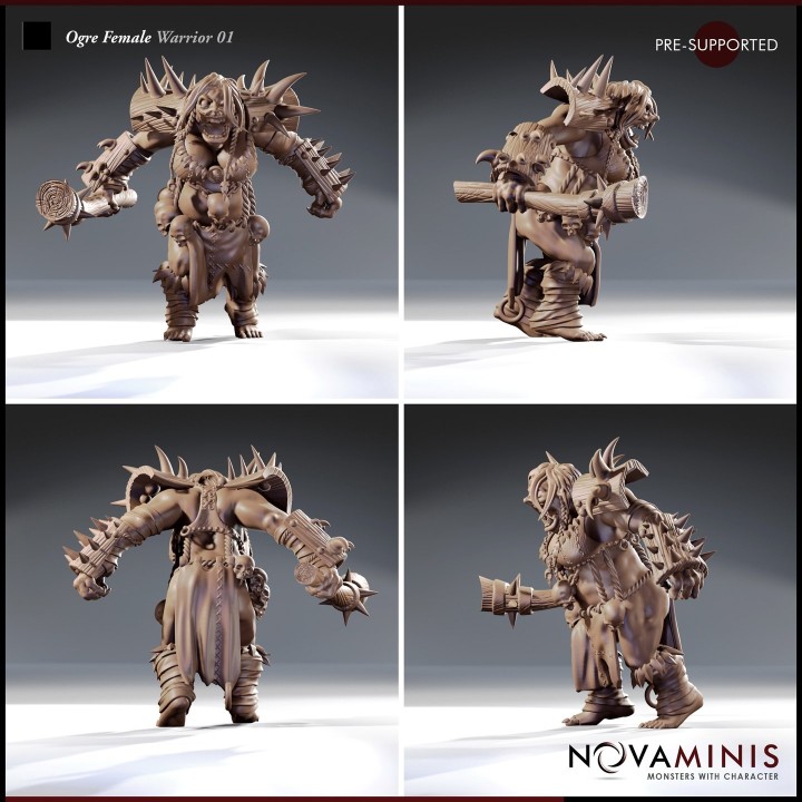 Ogre Female Warrior 01