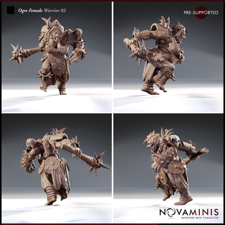 Ogre Female Warrior 02