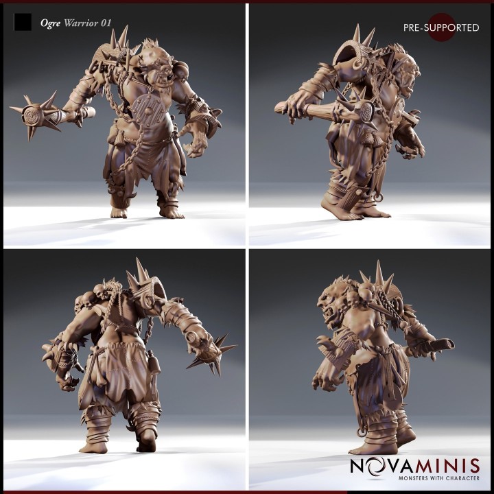 Ogre Warrior 01