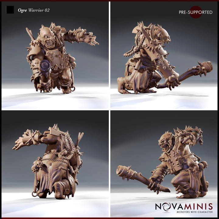 Ogre Warrior 02