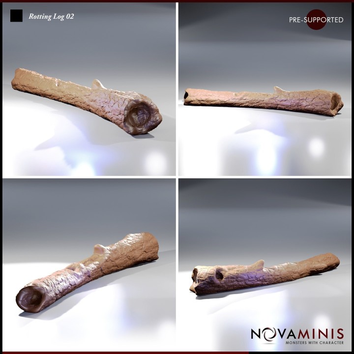Rotting Log 02