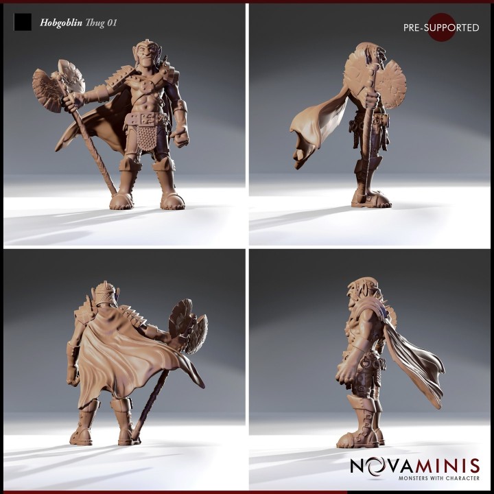 Hobgoblin Thug 01