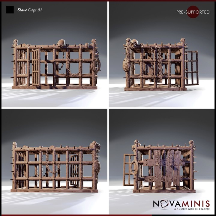 Slave Cage 01