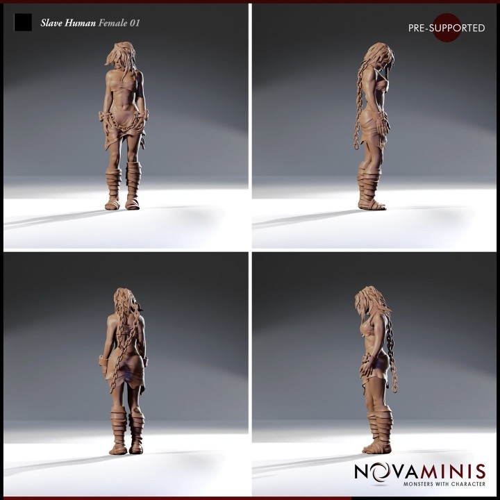 Slave Human Female 01