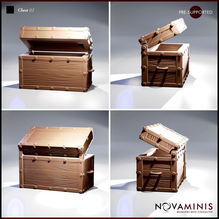Chest 02