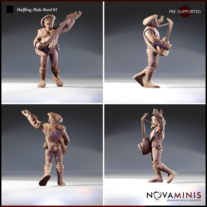 Halfling Male Bard 01